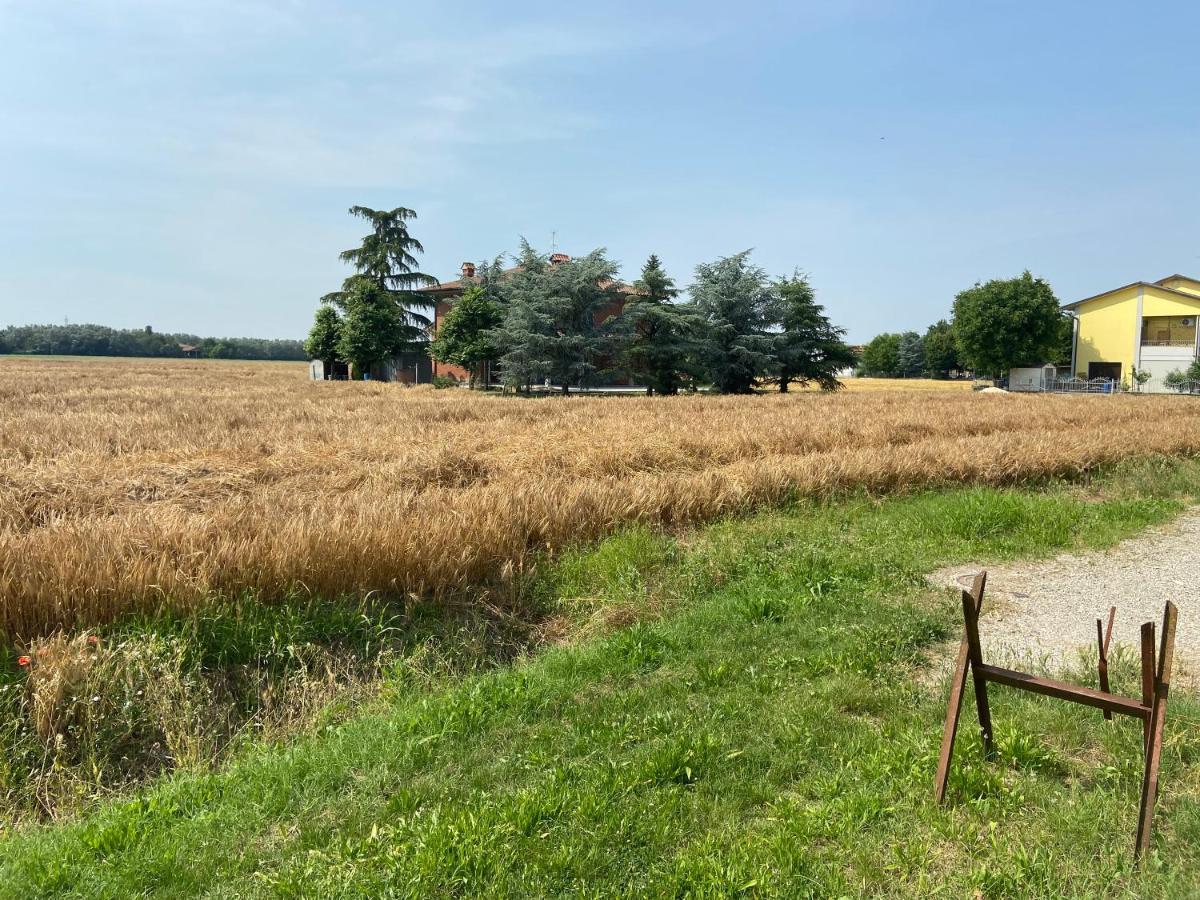 B&B Campi Di Sole Sala Bolognese Luaran gambar